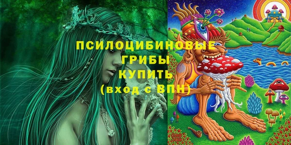 соль ск Алзамай