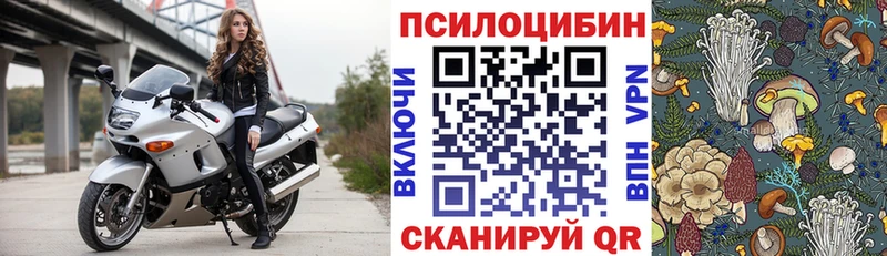 закладки  Переславль-Залесский  Галлюциногенные грибы мицелий 